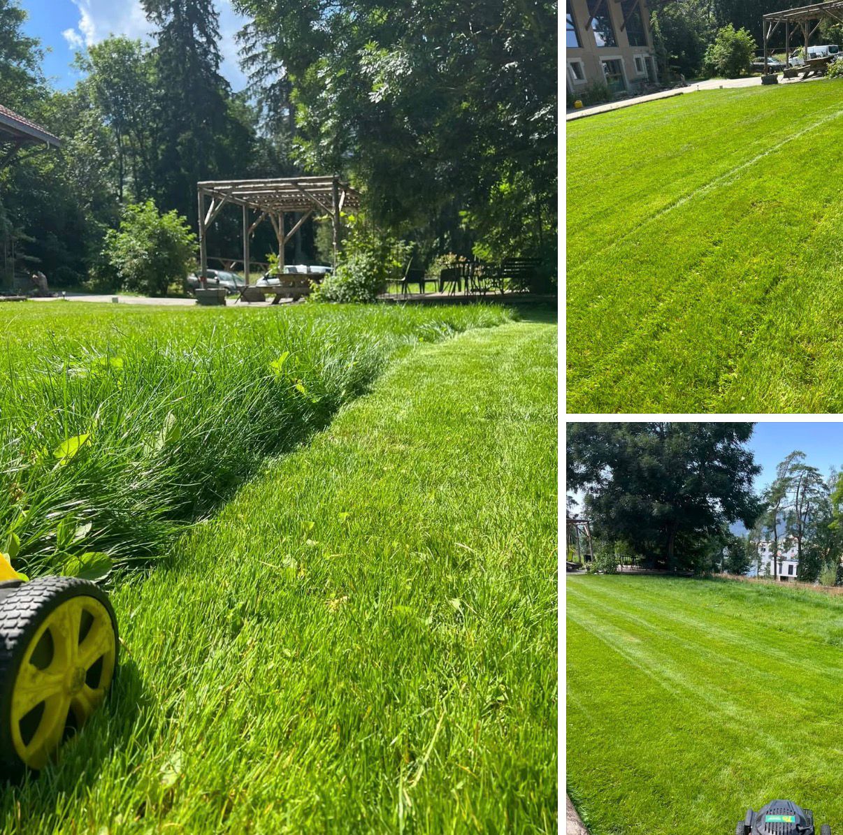 Pelouse avant tonte